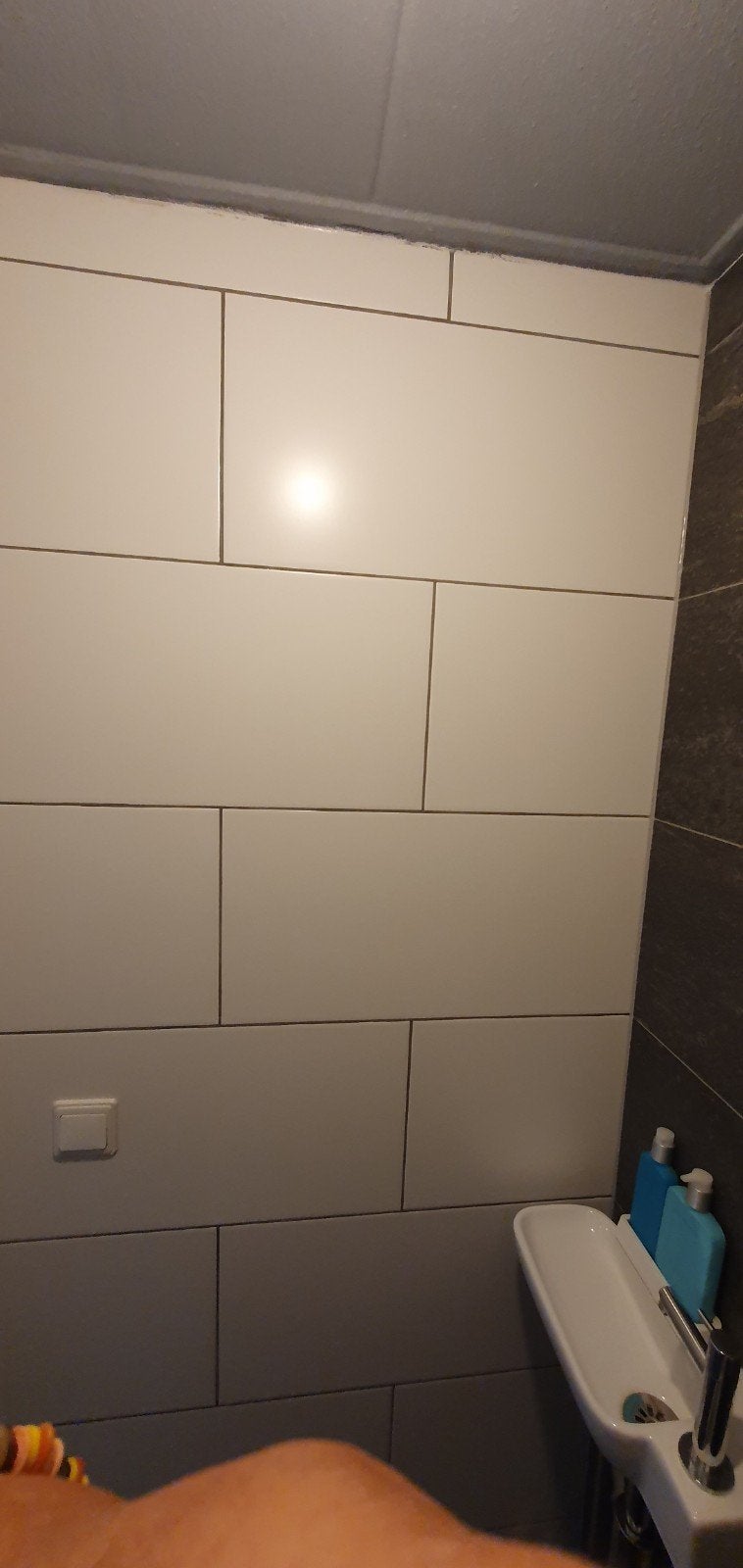 Toilet/ Badkamer tegels wit mat, Ophalen, Nieuw, Binnendeur, 200 tot 215 cm