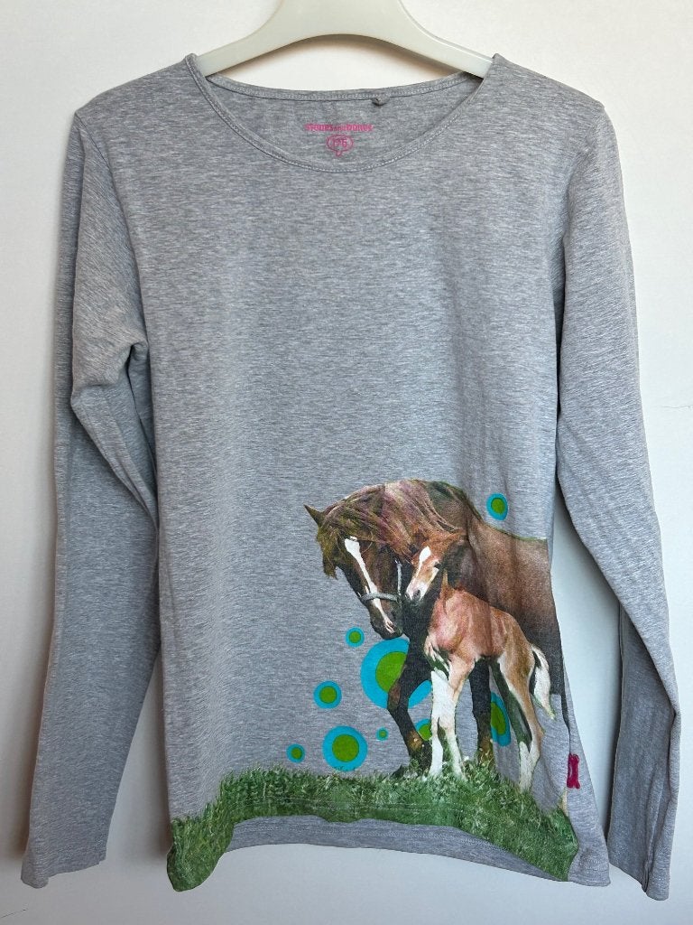 Stones & Bones grijze longsleeve  maat 176 paarden, Gebruikt, Stones&Bones, Meisje, Ophalen of Verzenden