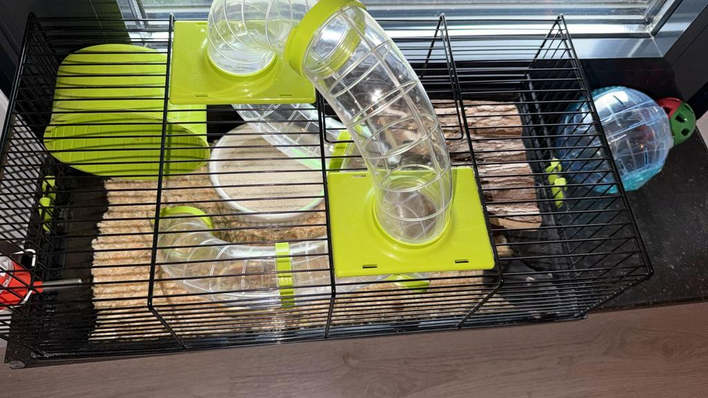 Hamster incl kooi en toebehoren, Kooi, Minder dan 75 cm, Zo goed als nieuw, Hamster