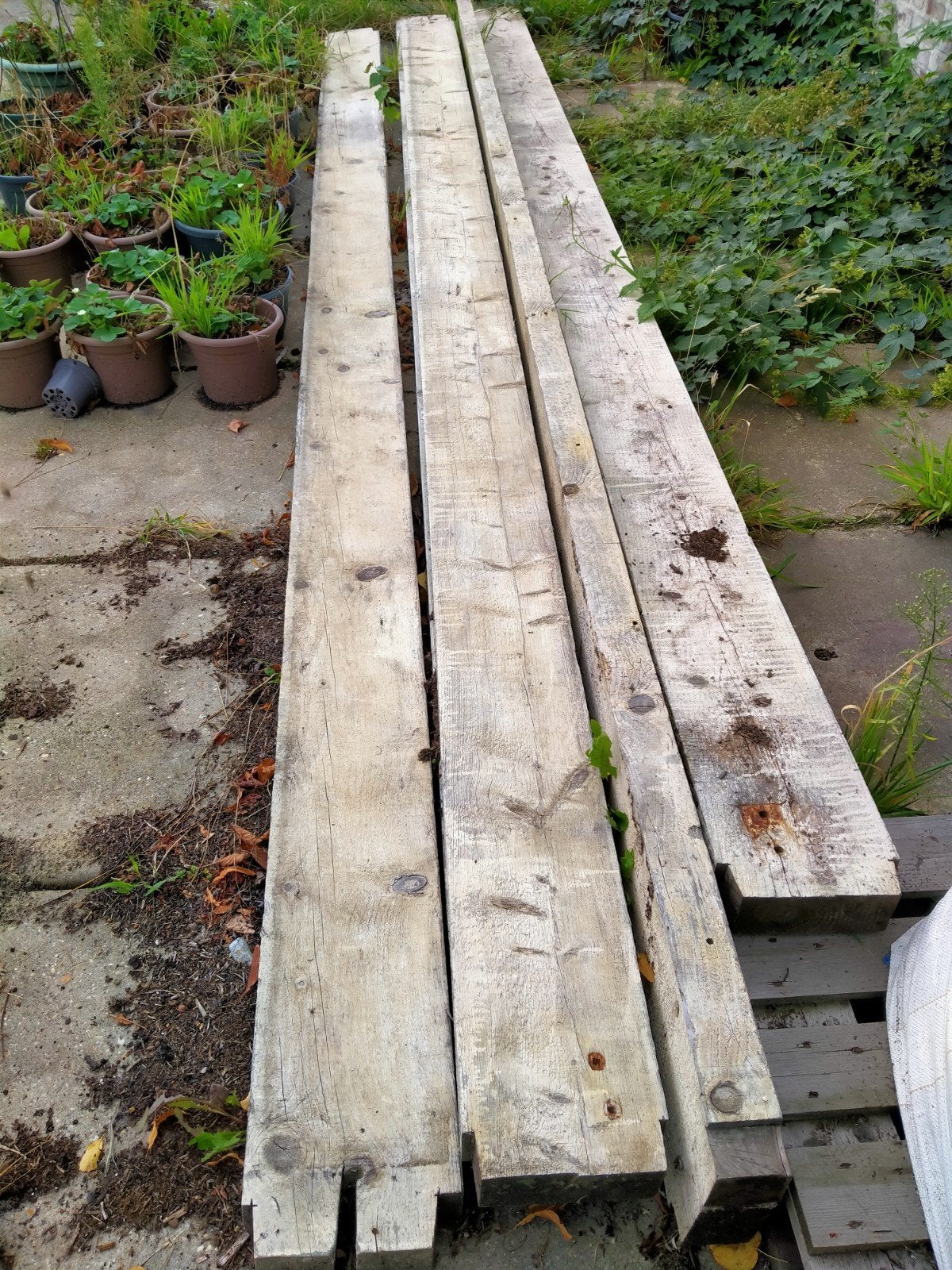 Gratis houten balken 6 stuks, Ophalen, Gebruikt, 250 cm of meer, Balken