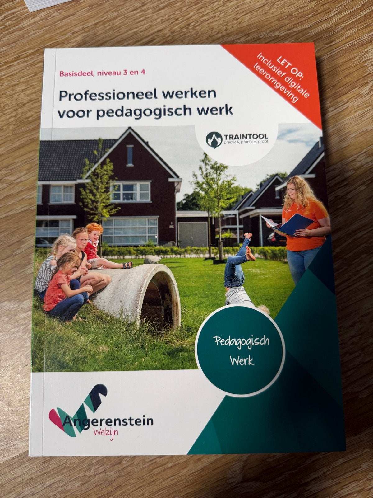 Professioneel werken voor pedagogisch werk (nieuw), Verzenden, Gamma, Nieuw, MBO
