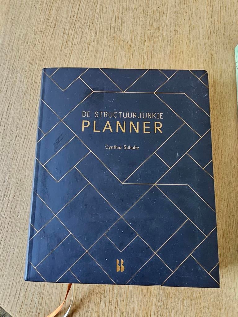 Cynthia Schultz - Structuurjunkie planner als nieuw, Ophalen of Verzenden, Zo goed als nieuw, Mode algemeen, Cynthia Schultz