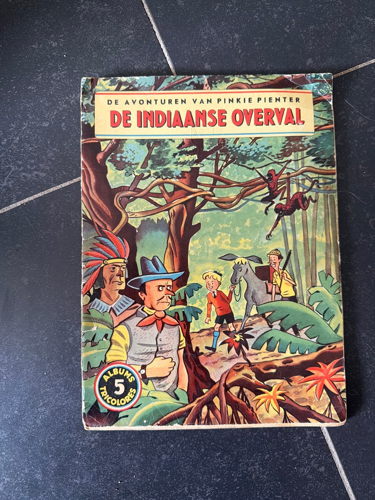Pinkie Pienter - De Indiaanse Overval (Mulder), Ophalen of Verzenden, Gelezen