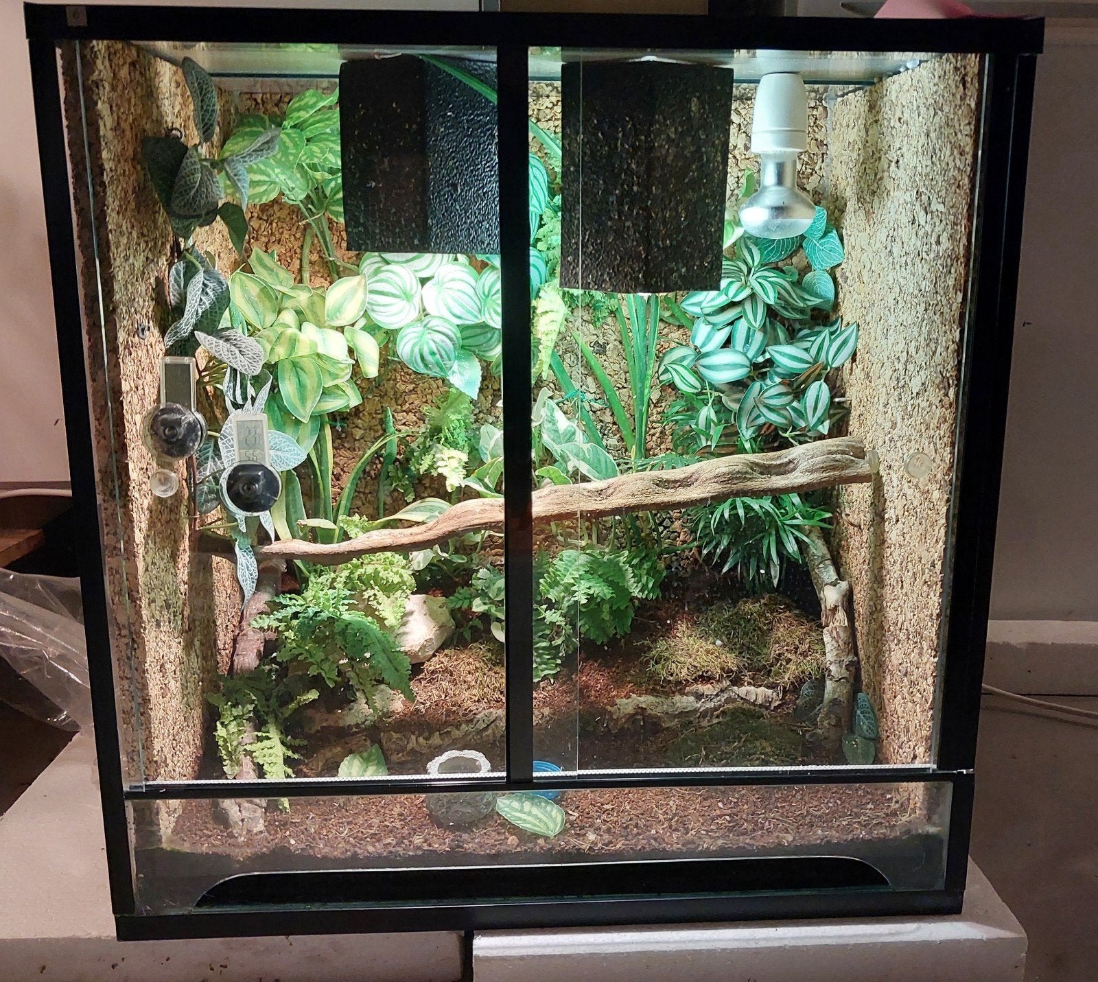 4x Terrarium te koop, Ophalen of Verzenden