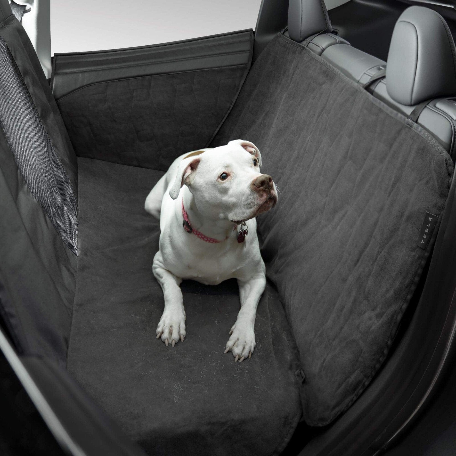 Second row pet liner, hondendeken voor Tesla model S Y en 3, Overige merken, Ophalen, Nieuw, Overige typen