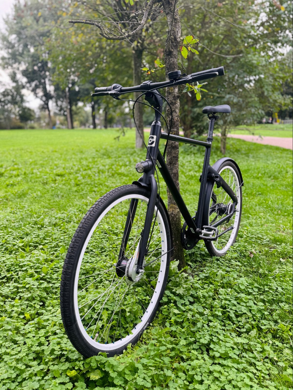 Cortina Blau Gates Belt Drive Fiets 7 Versnellingen, Versnellingen, Zo goed als nieuw, 61 tot 65 cm, Schijfrem