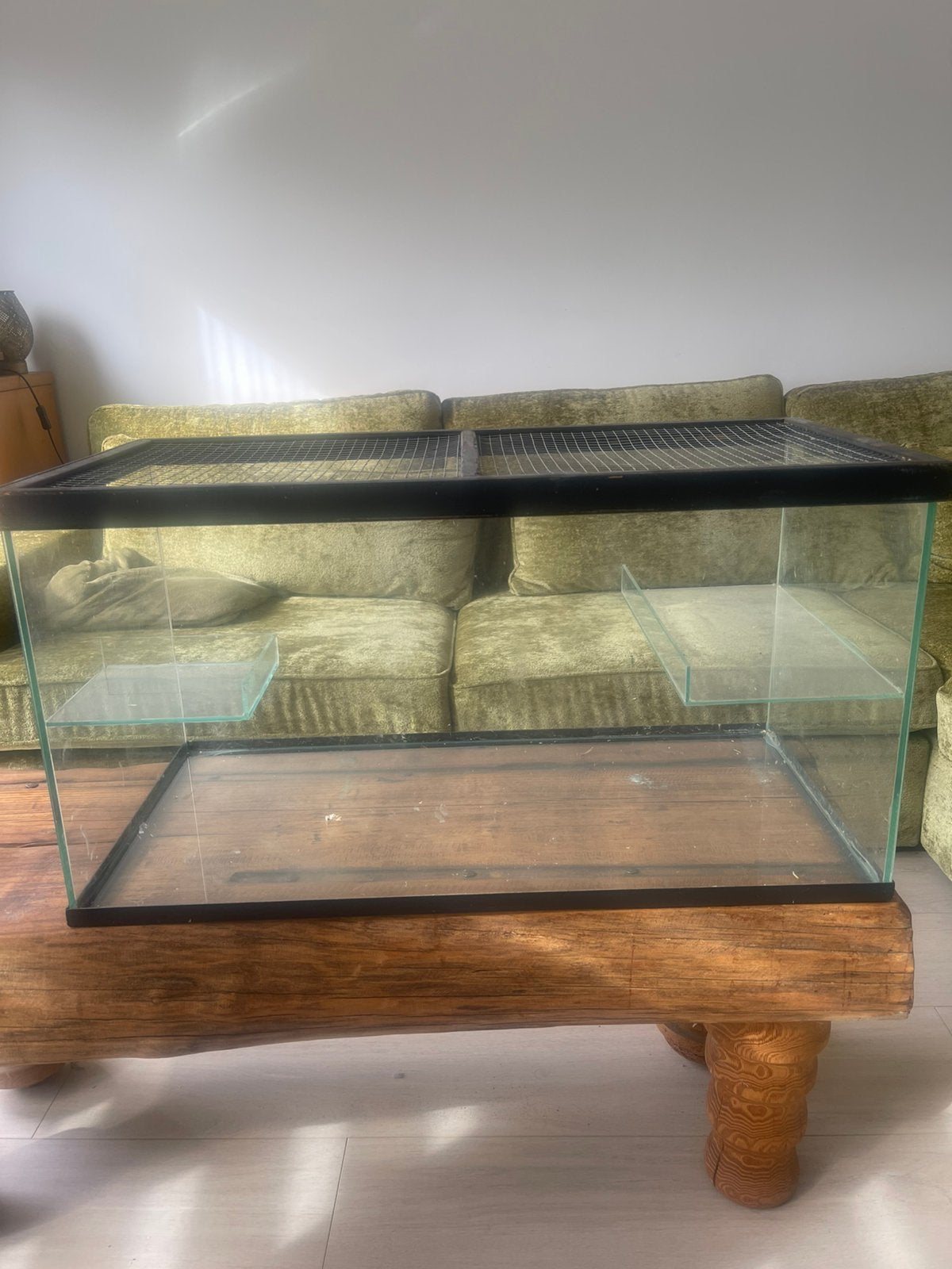 Hamsterkooi/amfibieënbak met toebehoren, Dieren en Toebehoren, Kooi, Gebruikt, Hamster, 75 tot 110 cm
