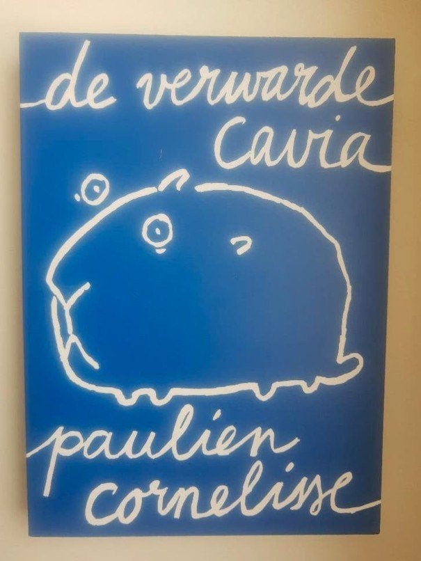 Nieuw, De verwarde cavia, Nieuw, Ophalen of Verzenden, Nederland, Paulien Cornelisse