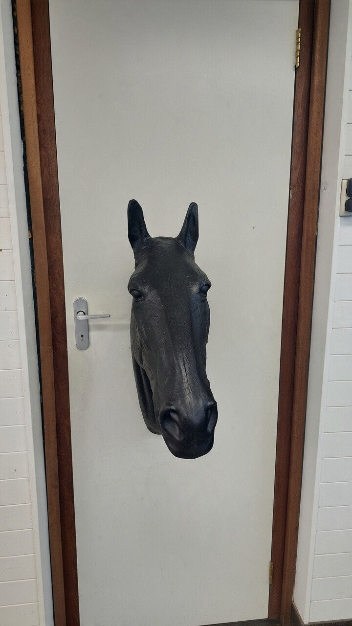 paardenhoofd voor aan de muur, Dieren en Toebehoren, Ophalen, Gebruikt, Zwart