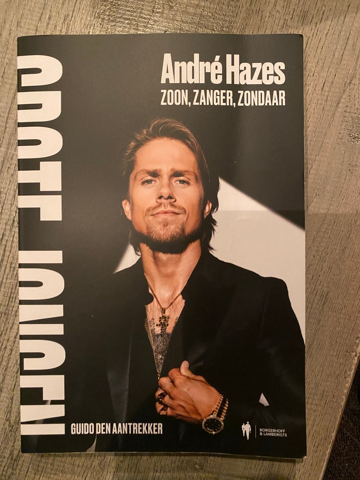 André Hazes: Zoon, Zanger, Zondaar - Biografie, Ophalen of Verzenden, Gelezen, Film, Tv en Media