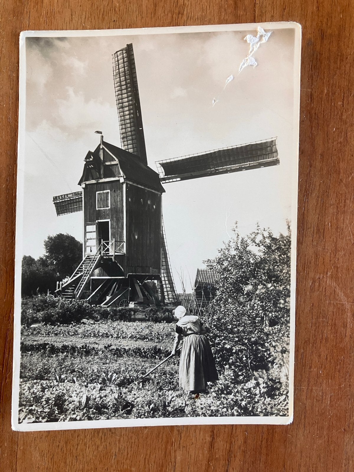 Molen in Kruiningen, Zeeland uitgegeven 1945, Ophalen of Verzenden, 1940 tot 1960, Ongelopen, Zeeland