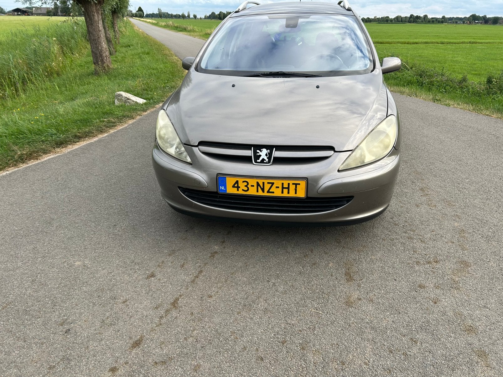 Peugeot 307 2.0 16V SW 2004 Grijs, Auto's, Peugeot, Voorwielaandrijving, 1330 kg, 136 pk, 4 cilinders