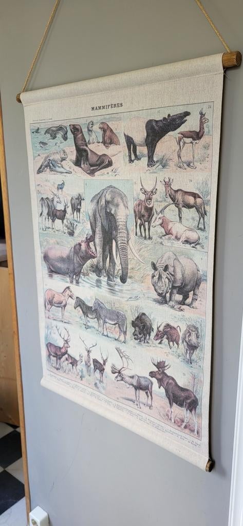 Linnen wandkaart Nouveau Larousse illustré, Beige, Wandkleed, Ophalen of Verzenden, Zo goed als nieuw