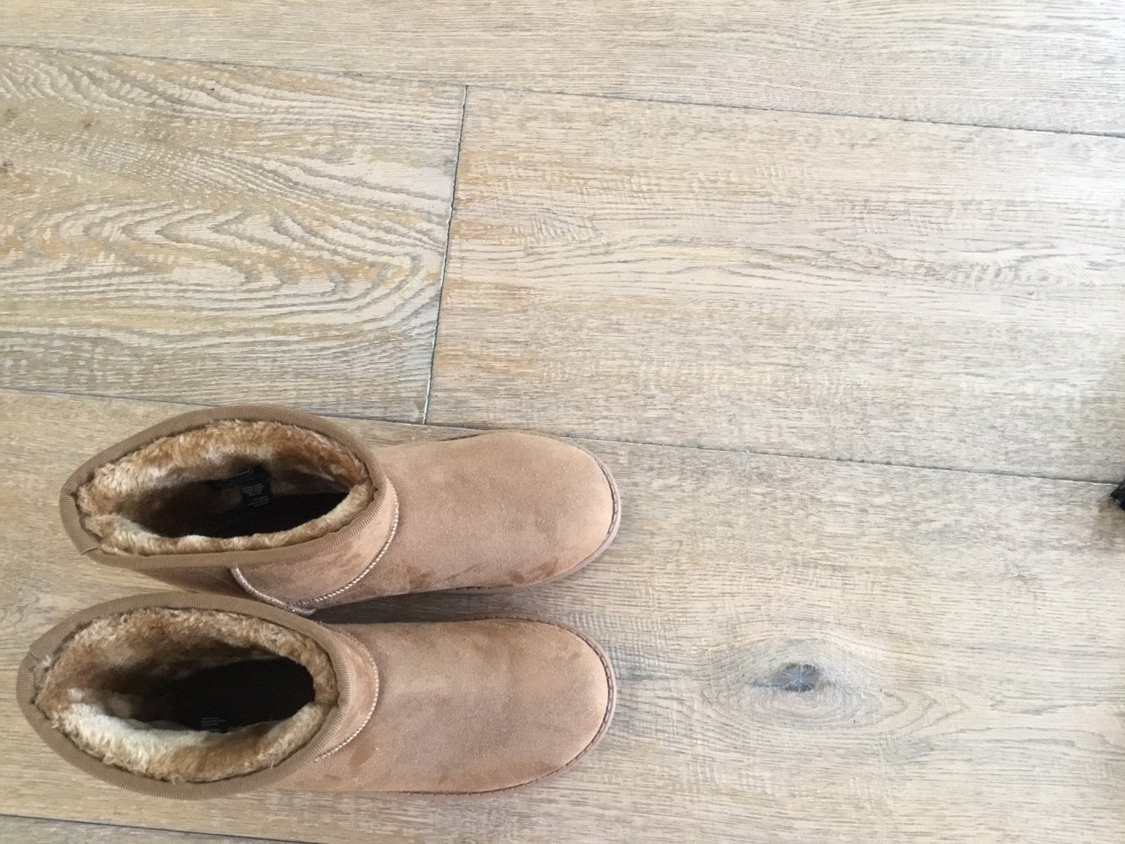 Nieuwe schoenen maat 39 voor binnen of buiten, Ophalen of Verzenden, Zo goed als nieuw, Staal