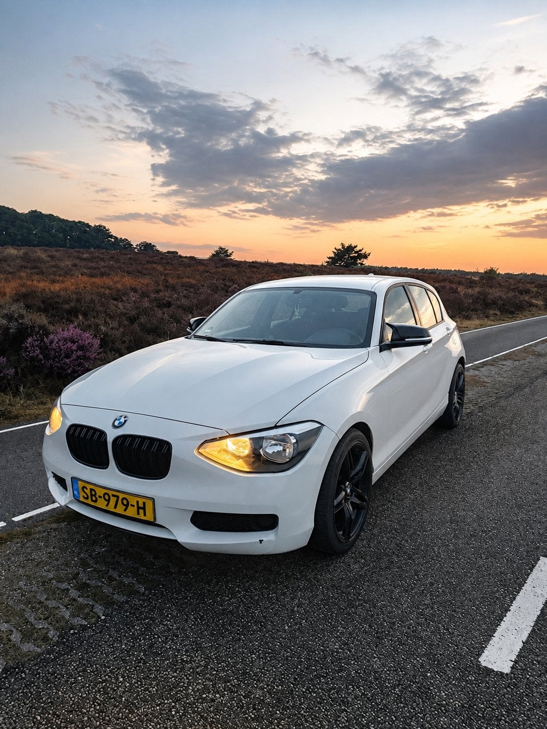 BMW 1-Serie 116I F20 100KW 5DR 2011 Wit, 1-Serie, Zwart, 4 cilinders, Wit