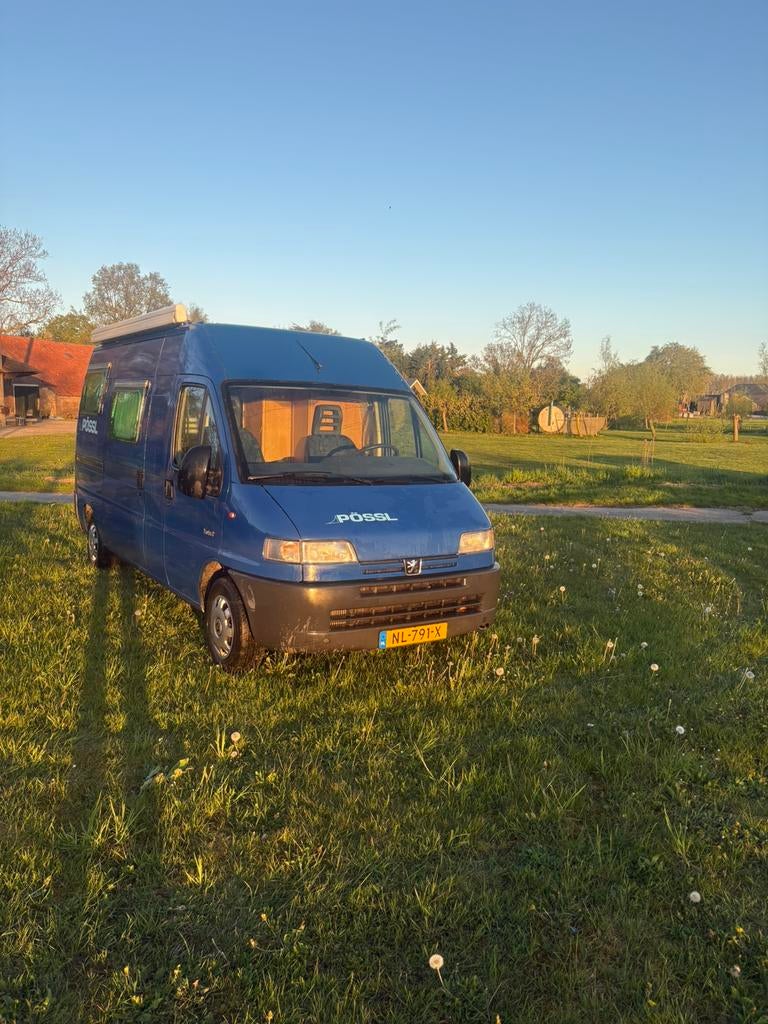 Peugeot boxer camperbus possl direct beschikbaar, Buscamper of Camperbus, Pössl, Tot en met 2, Treinzit