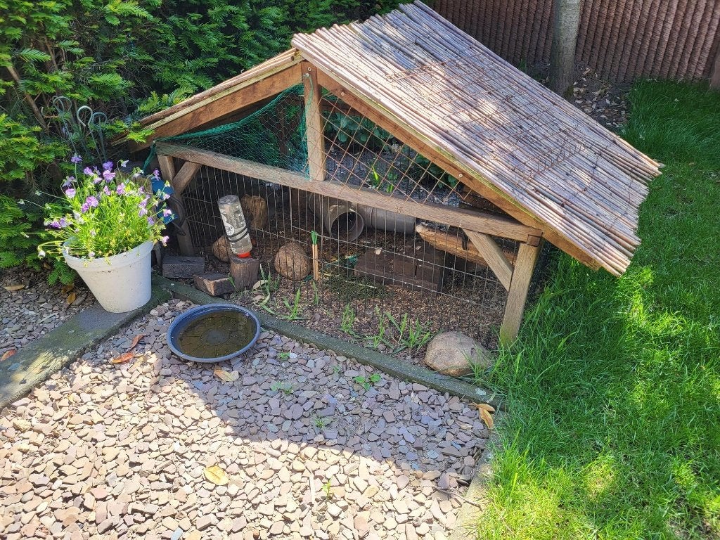 GRATIS   cavia kooi en buiten kooi, Dieren en Toebehoren, Knaagdieren en Konijnen | Hokken en Kooien, Ophalen, Kooi, Gebruikt