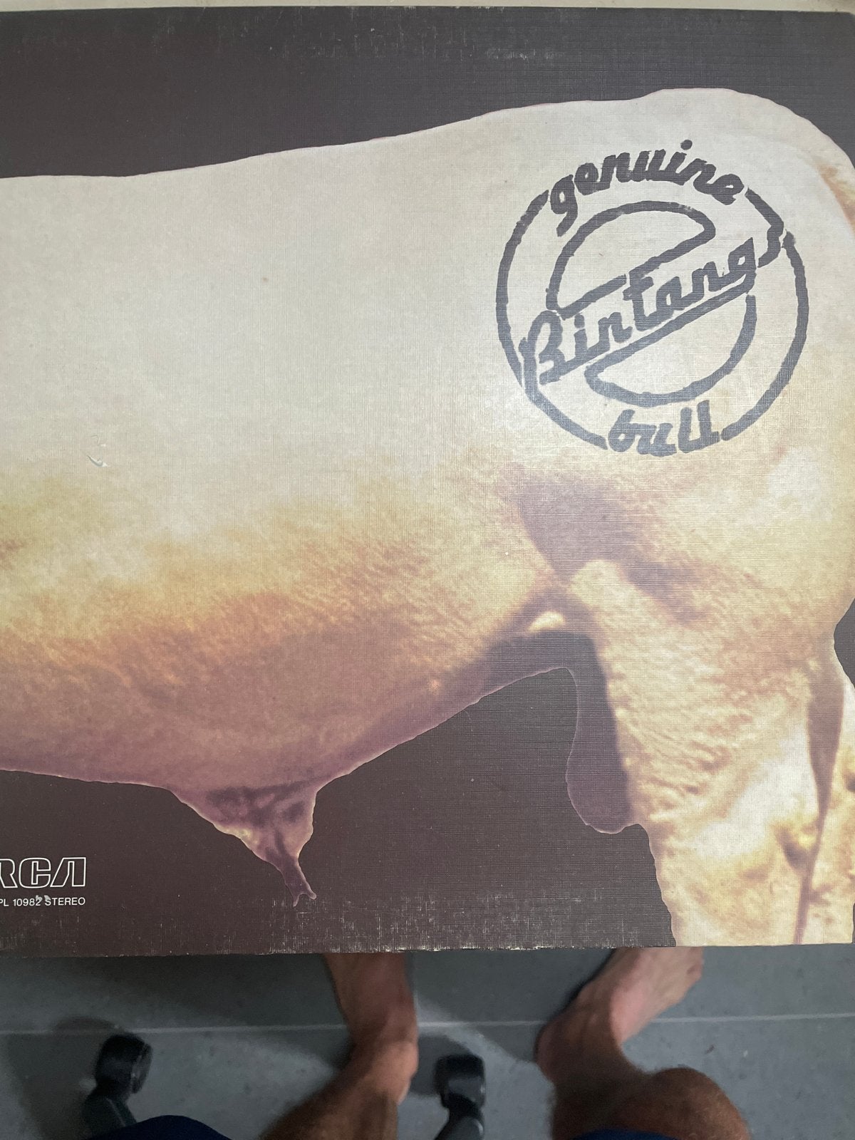 Bintangs - Genuine Bull LP (1975) - Rock/Blues, Ophalen of Verzenden, Gebruikt