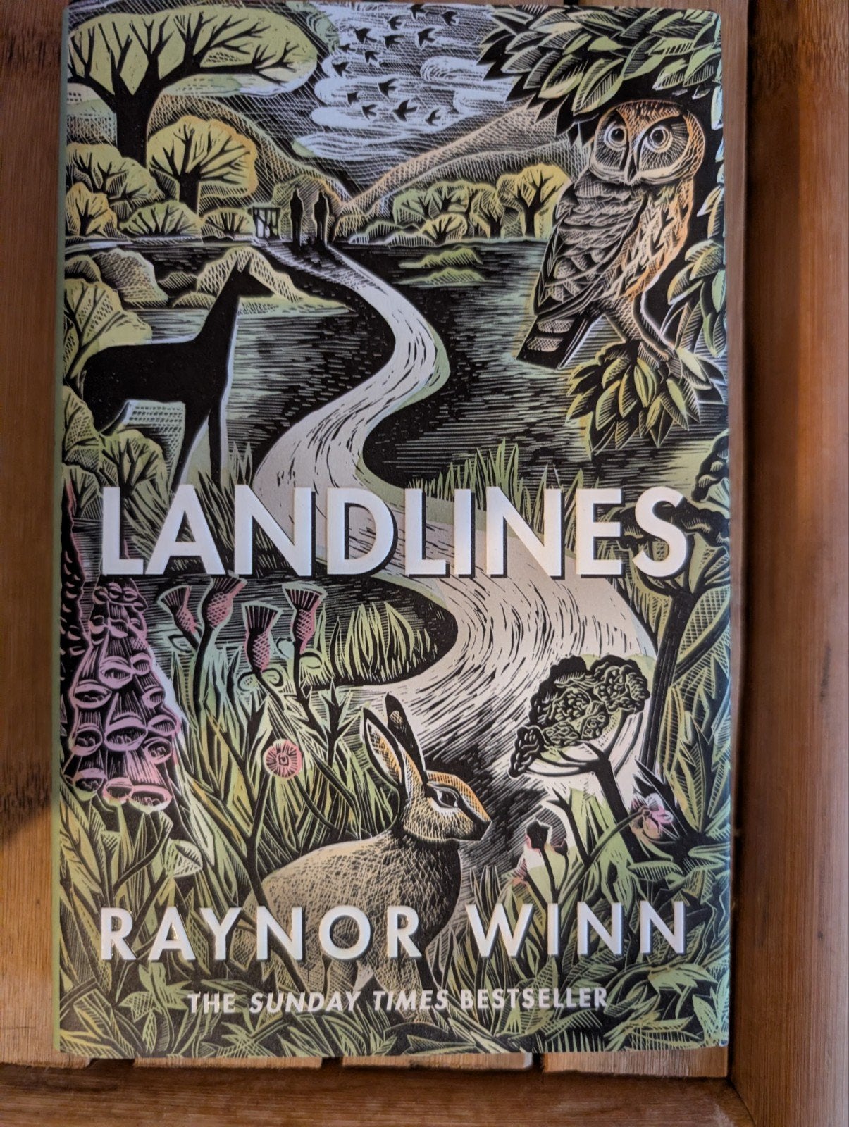 Landlines - Raynor Winn (Hardcover, Engels, als nieuw), Verzenden