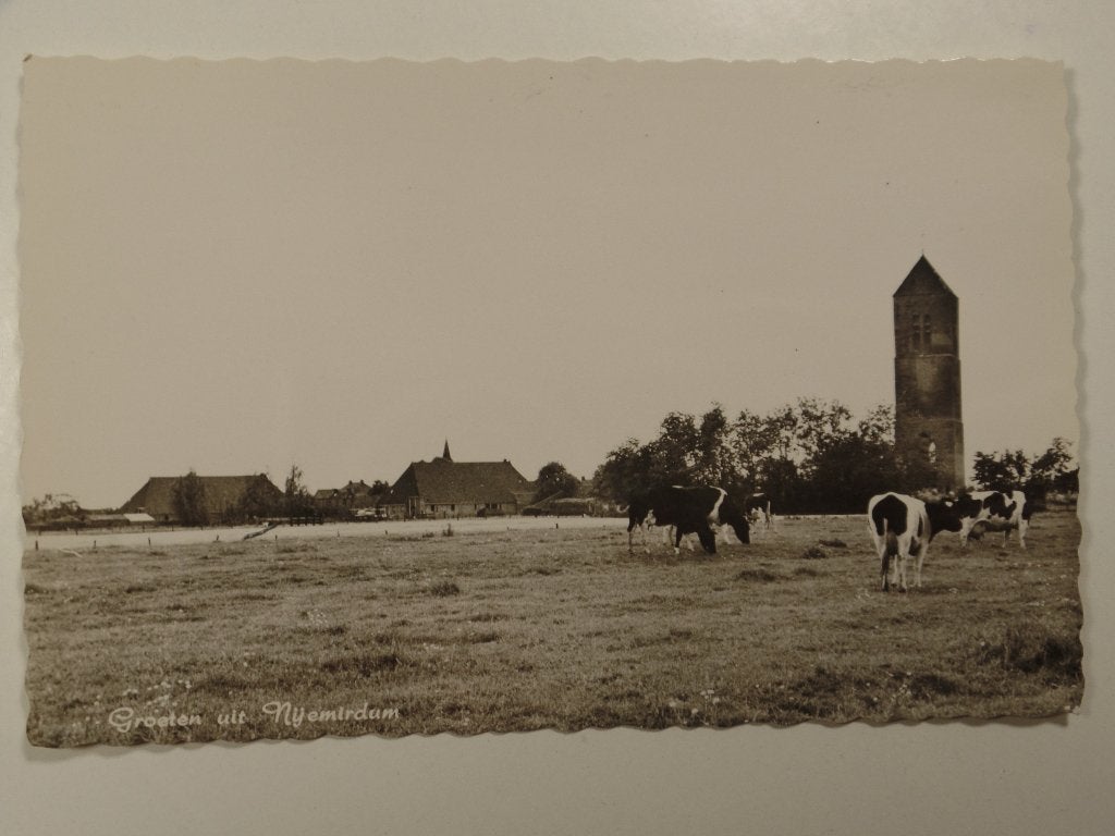 Nijemirdum koeien, Ophalen of Verzenden, 1960 tot 1980, Gelopen, Friesland