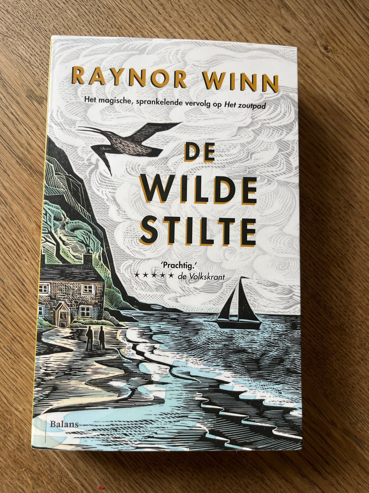 De Wilde Stilte - Raynor Winn, Ophalen of Verzenden, Zo goed als nieuw, Nederland