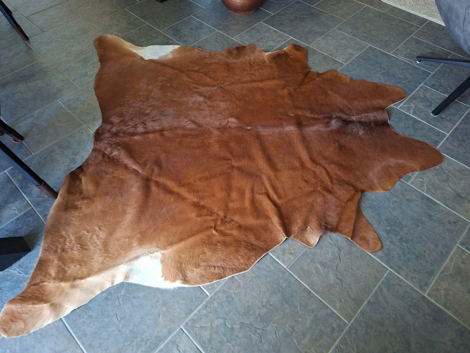 Bruin koeienhuid XL vloerkleed, zo goed als nieuw, Ophalen, 150 tot 200 cm, Zo goed als nieuw, Natuurlijk, Rustiek