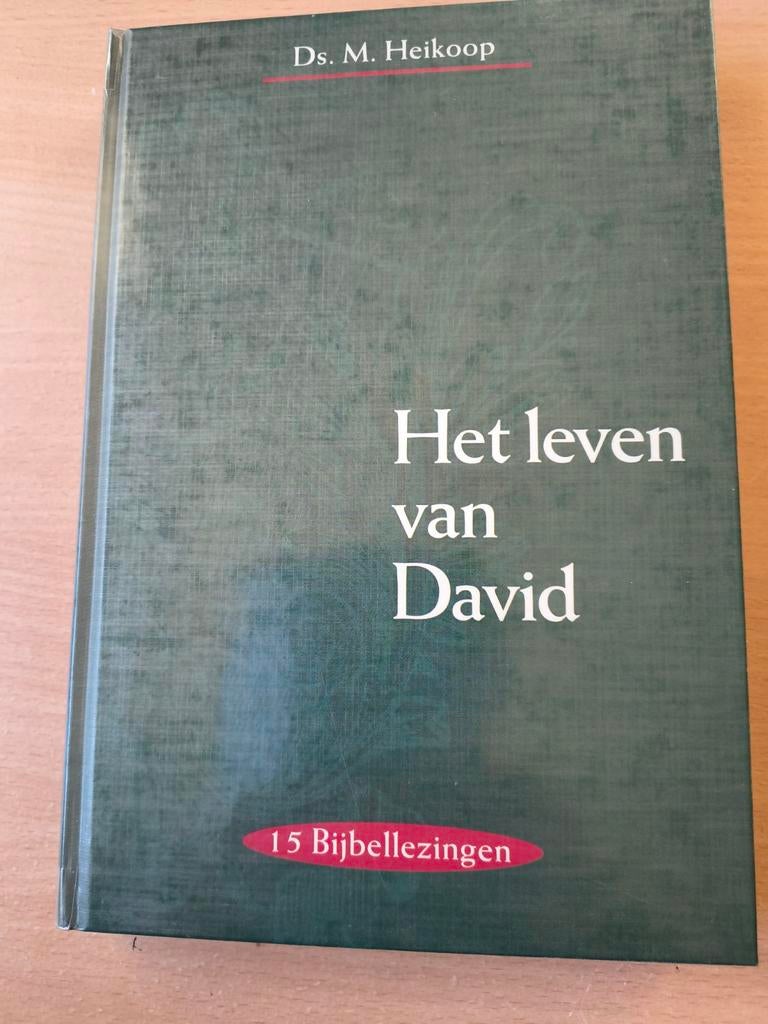 Het leven van David. Ds M Heikoop, Boeken, Christendom | Protestants, Ophalen of Verzenden, Zo goed als nieuw, Ds M Heikoop