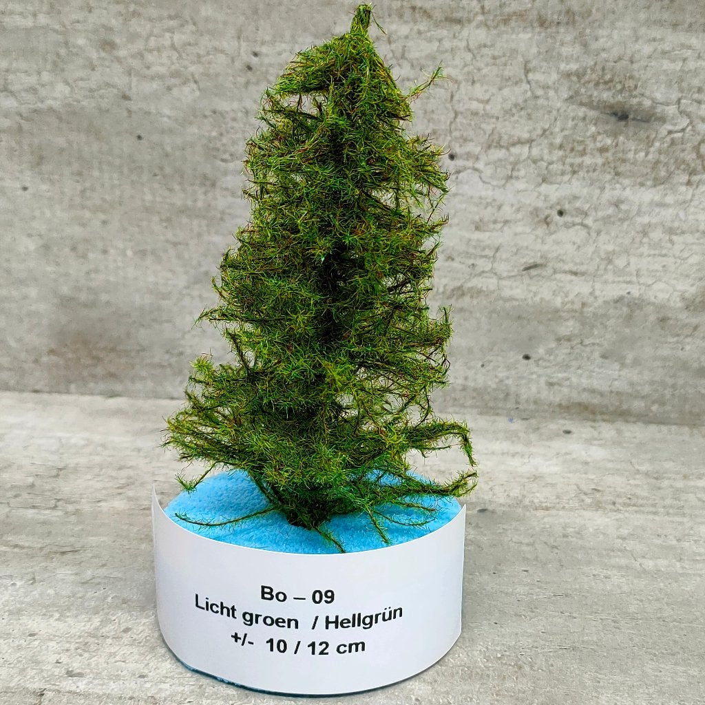modeltrein Bo – 09  BOMEN 10 /12 cm Licht Groen, Overige merken, Gelijkstroom, Natuur, Nieuw