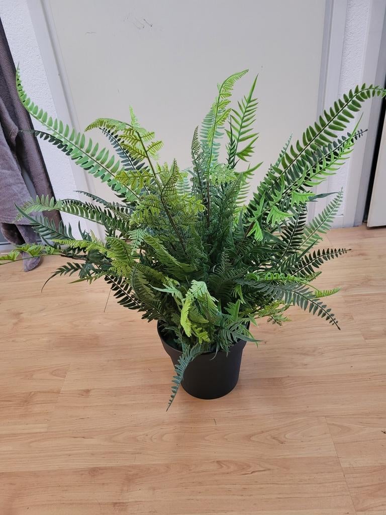 Kunstplant varen nieuw, Ophalen of Verzenden, Halfschaduw, Minder dan 100 cm