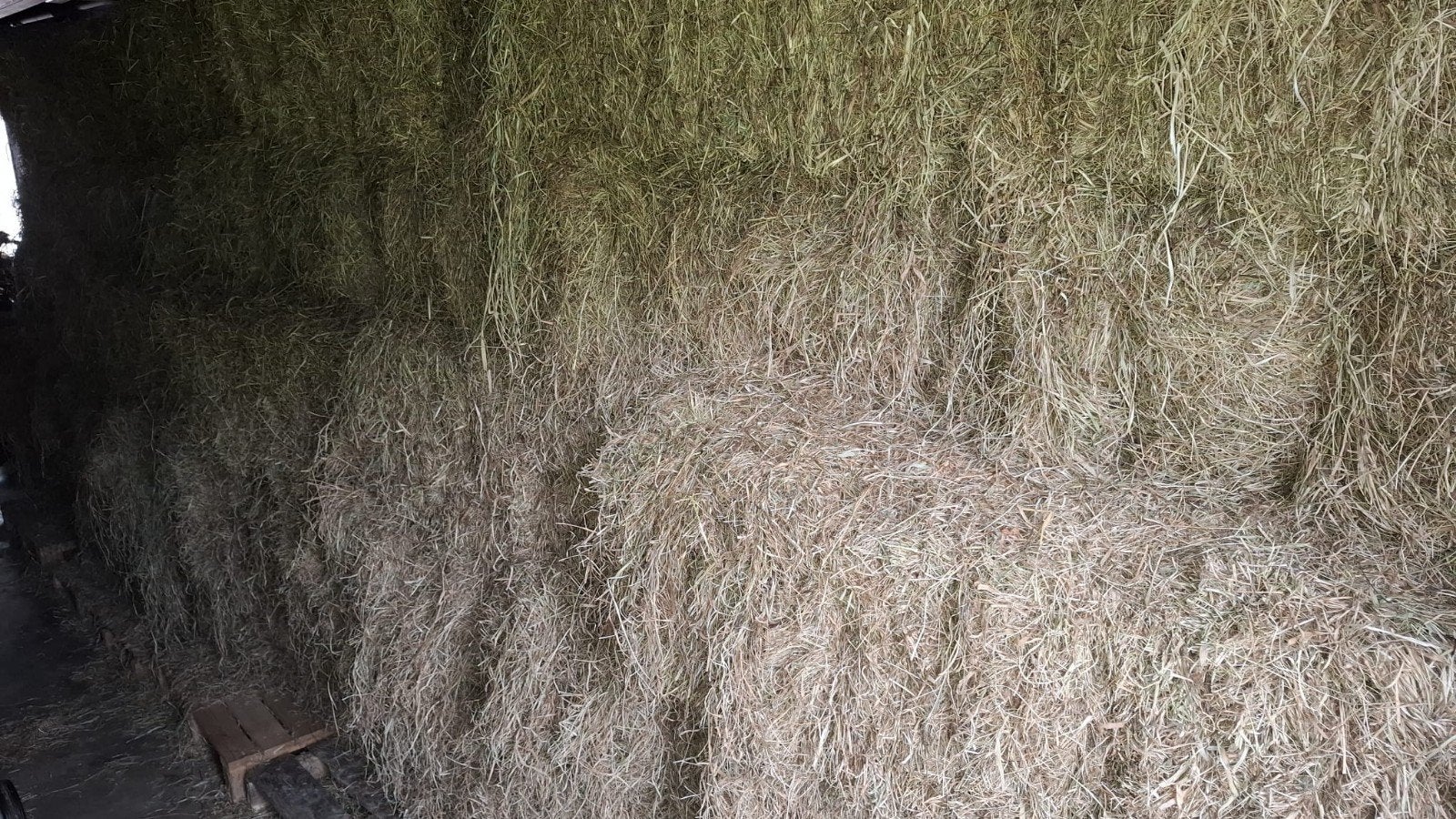 Hooi 1e snee, Dieren en Toebehoren, Dierenvoeding, Ophalen