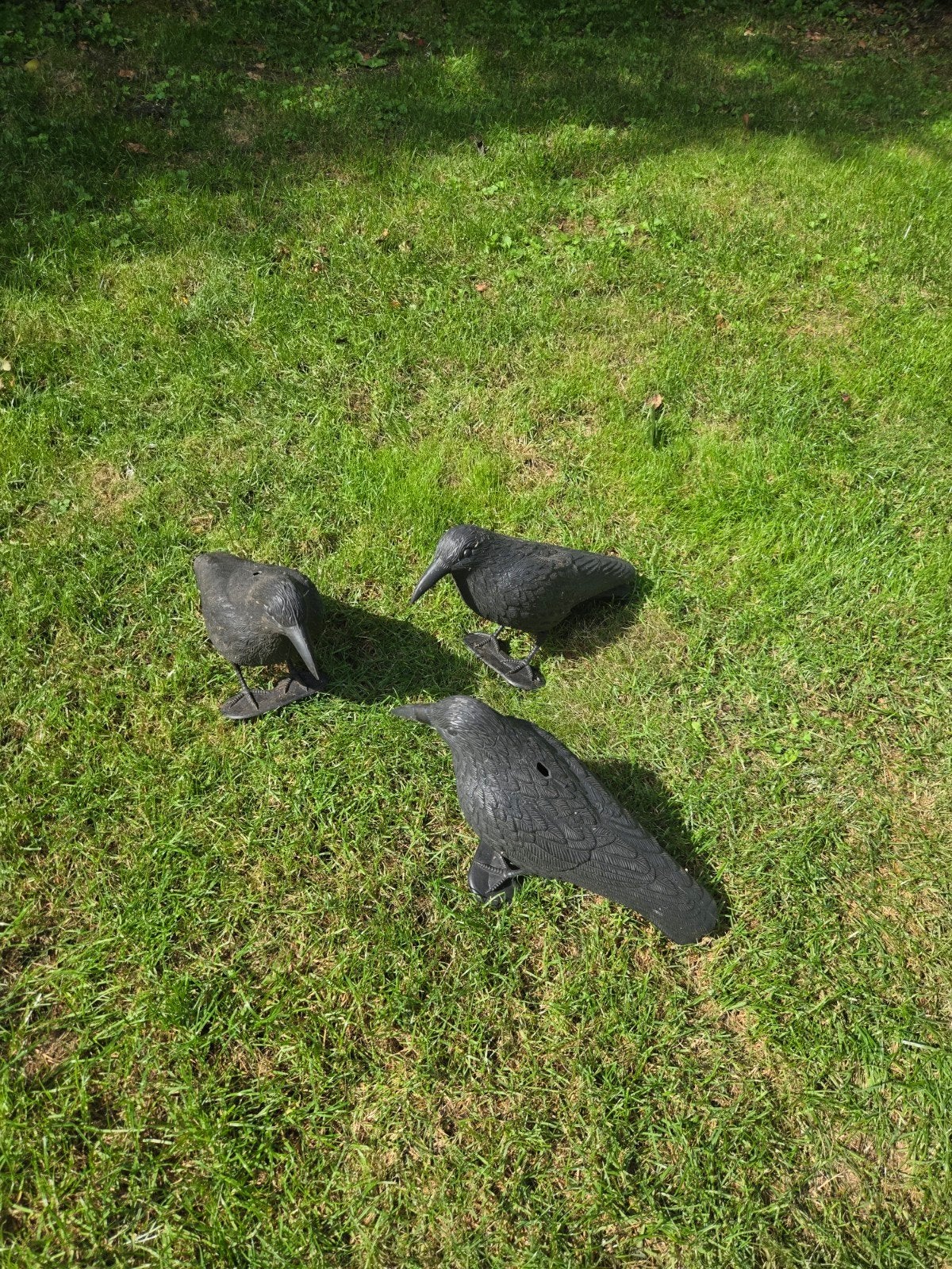 3x Kraaienlokkers / Verjagers - Tuindecoratie, Ophalen of Verzenden, Gebruikt, Kunststof, Dierenbeeld