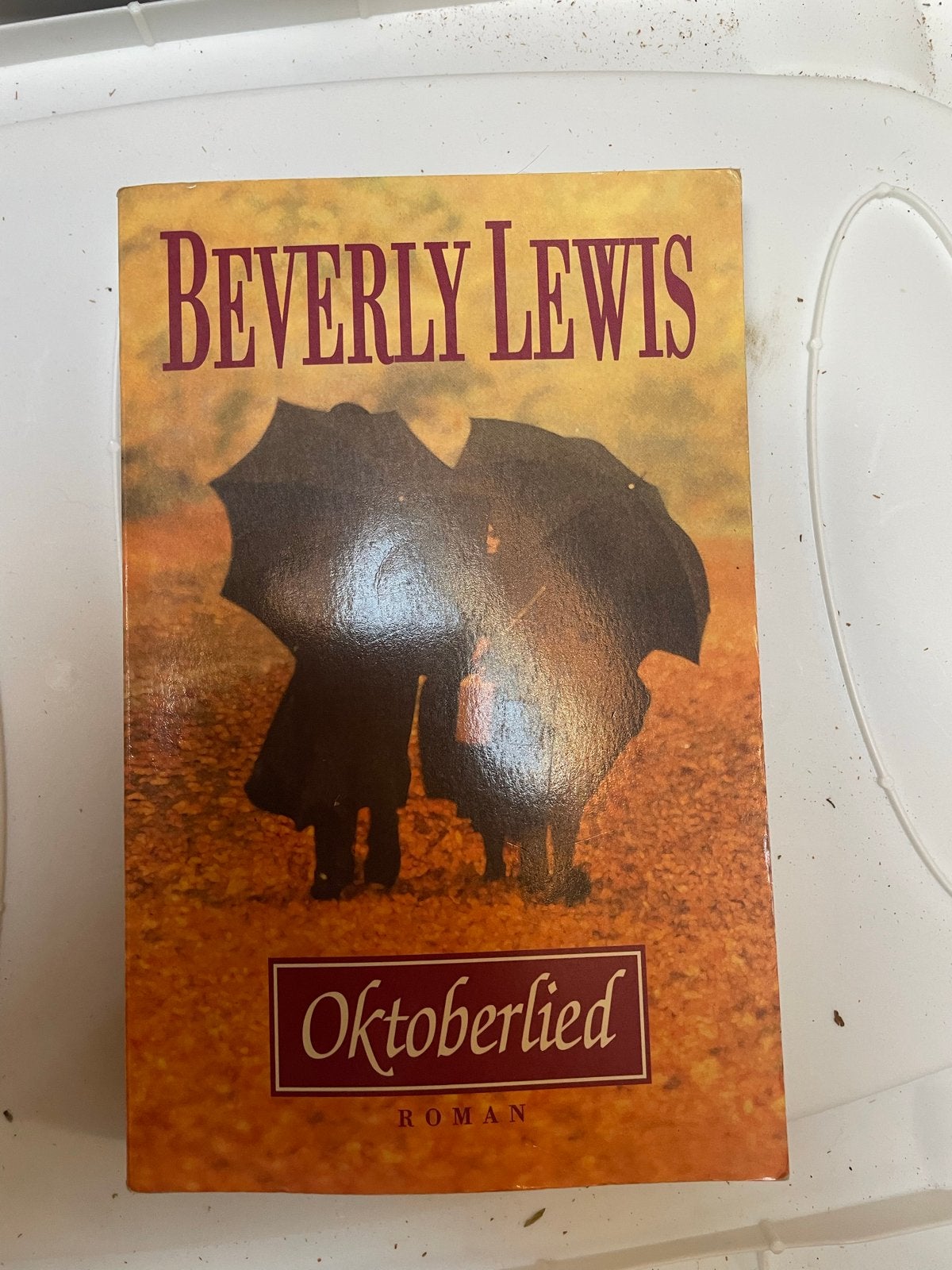 Oktoberlied - Beverly Lewis (Roman), Boeken, Romans, Ophalen of Verzenden, Gelezen, Nederland