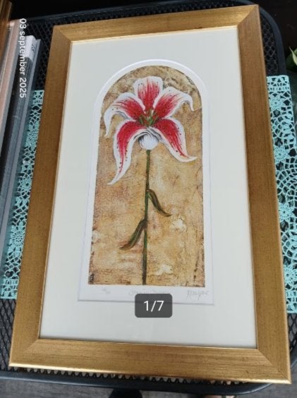 Drie Litho's, Antiek en Kunst, Kunst | Litho's en Zeefdrukken, Gelimiteerde oplage, Ophalen of Verzenden, Dieren en Natuur, Lithografie