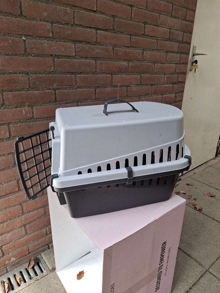 Reismand voor de kat, Ophalen, Zo goed als nieuw