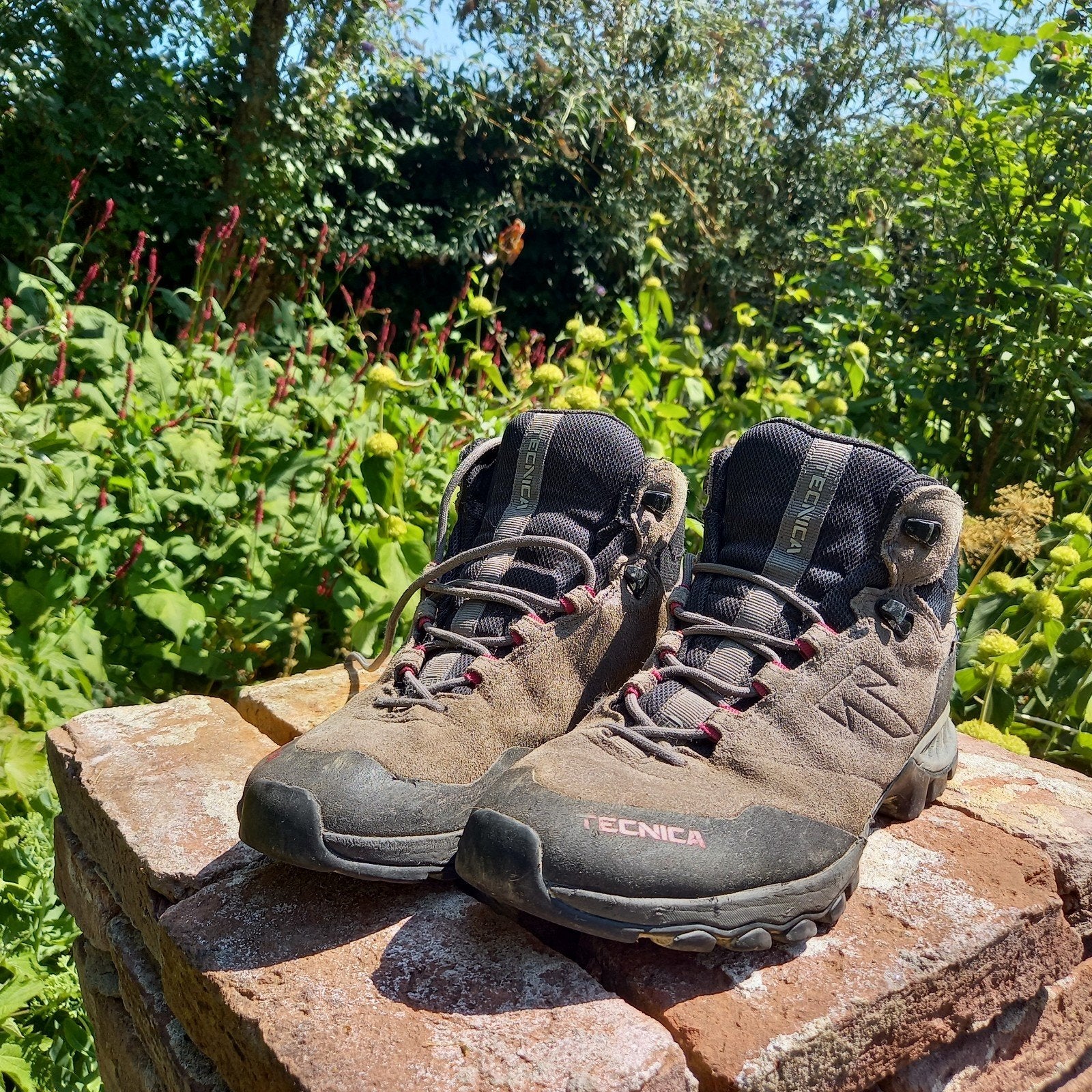 Stevige bergschoenen, hoge kwaliteit. Maat 39.5 met gore tex, Ophalen, Gebruikt, Schoenen