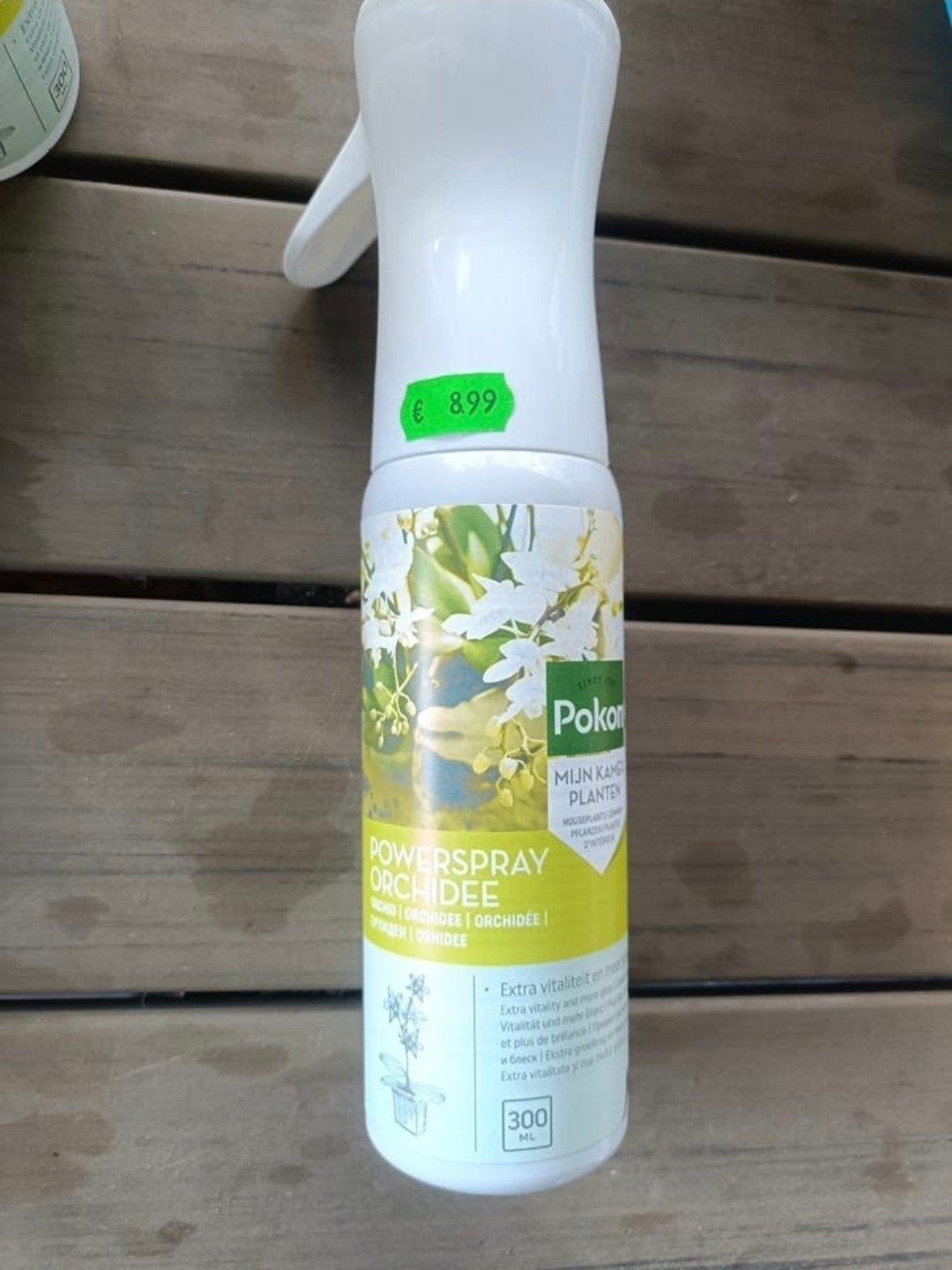 orchidee poker spray, Ophalen of Verzenden, Overige soorten, Halfschaduw, Minder dan 100 cm