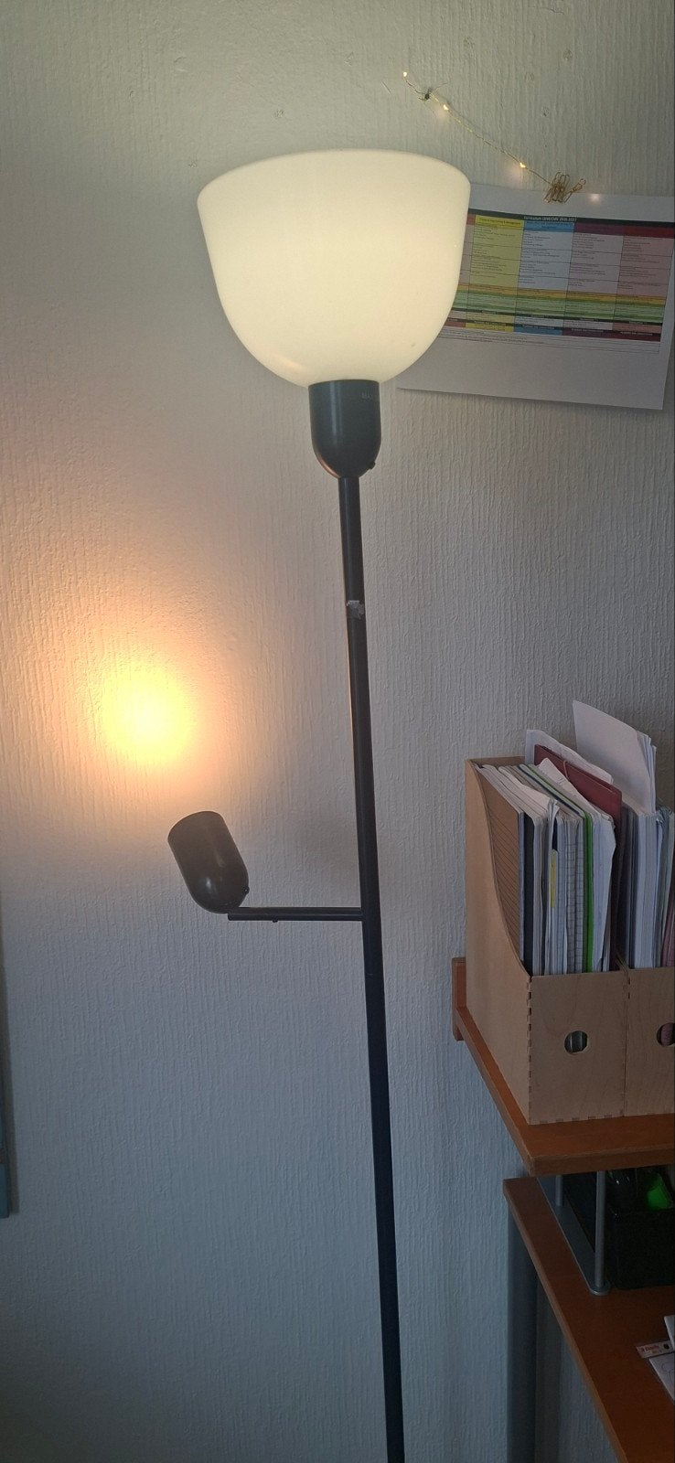 Staande lamp/vloerlamp met leeslamp, Ophalen, Gebruikt, Modern, functioneel, E27 (groot)