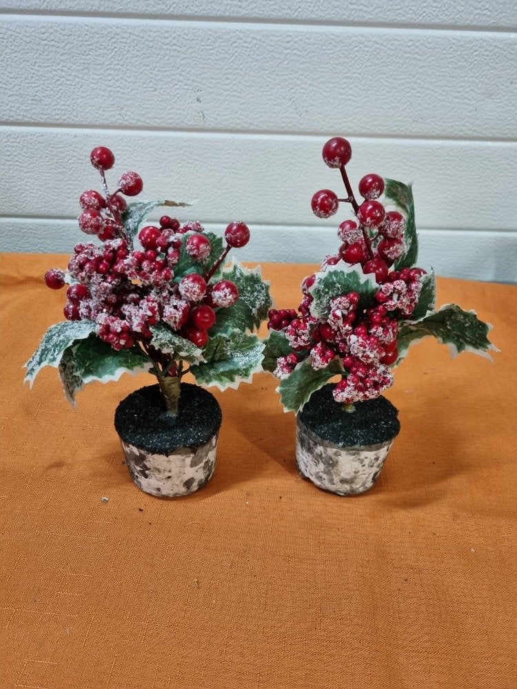 kerst decoratie planten hulst met bessen, Ophalen of Verzenden, 'T Olde Gre-j, Info@toldegrej.nl, Endepoelstraat 20f Didam