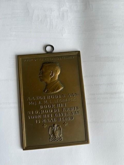 bronsen Plakaat rode kruis nederland, Ophalen of Verzenden