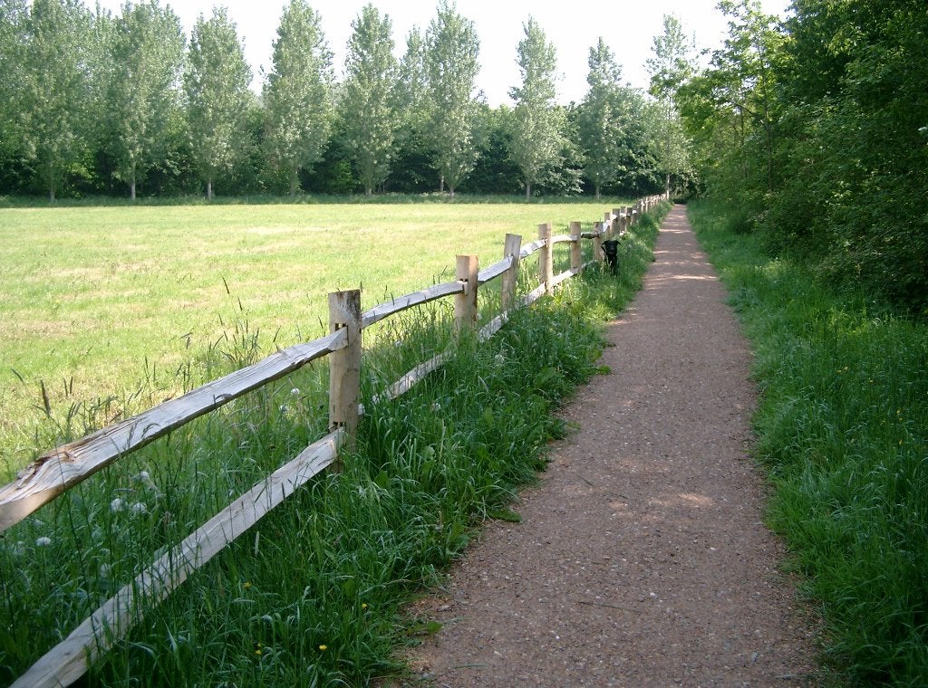 Post and Rail van kastanjehout: 1/2/3 liggers!, Tuin en Terras, Tuinhekken en Hekwerk, Ophalen of Verzenden, Nieuw, Hout, Overige typen