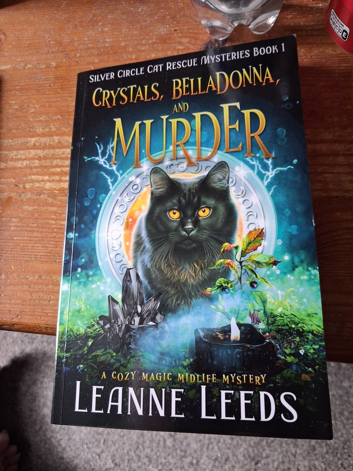 silver. circle cat rescue mysteries, Ophalen, Nieuw, Leanne leeds