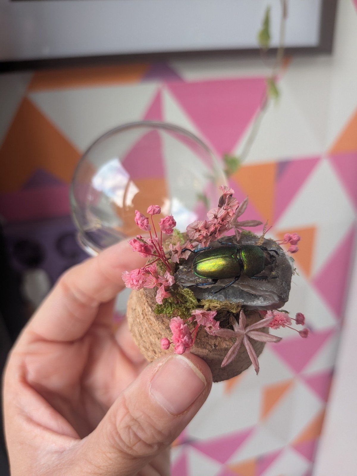 Kever in glazen stolpje met edelsteen agaat en bloemen, Verzamelen, Verzenden, Zo goed als nieuw