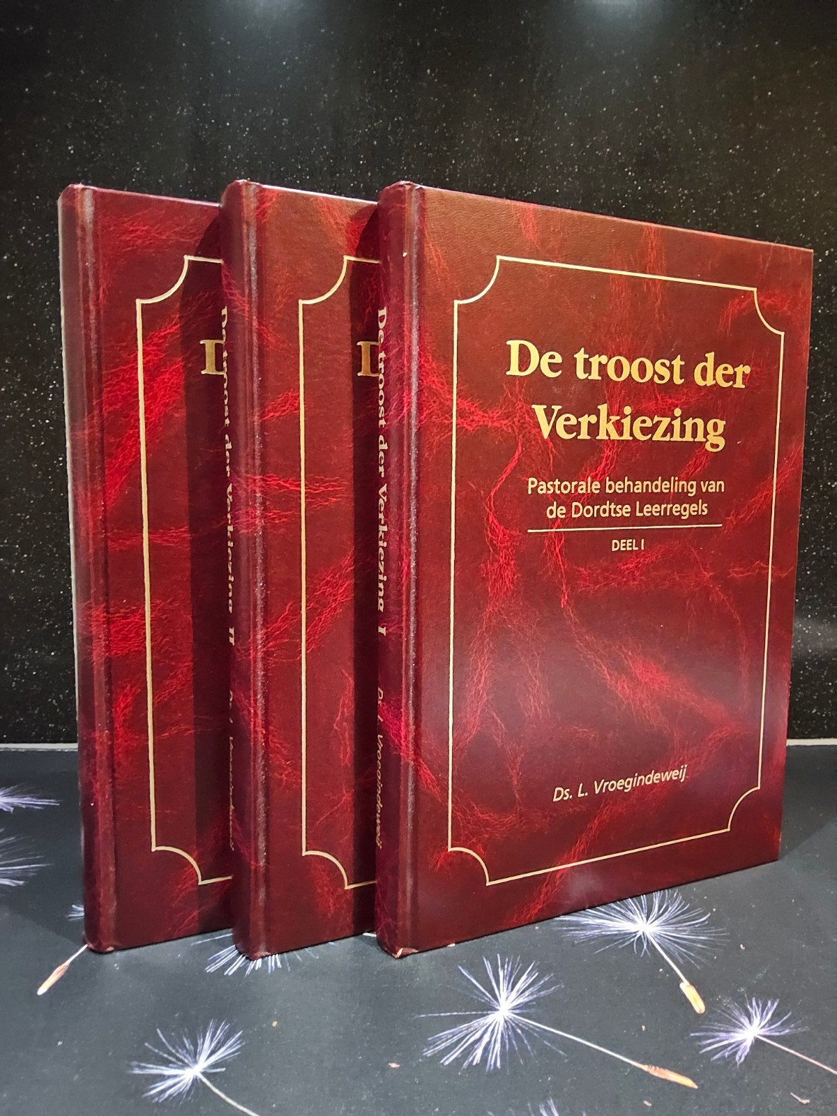 De troost der verkiezing  / Ds. L. Vroegindeweij, Ophalen of Verzenden, Gelezen, L. Vroegindeweij, Christendom | Protestants