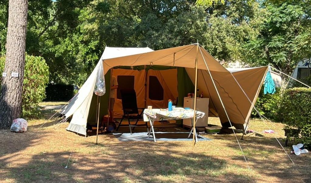 De Waard Vergrote Zilvermeeuw, Caravans en Kamperen, Tenten, Ophalen, Gebruikt, Tot en met 6