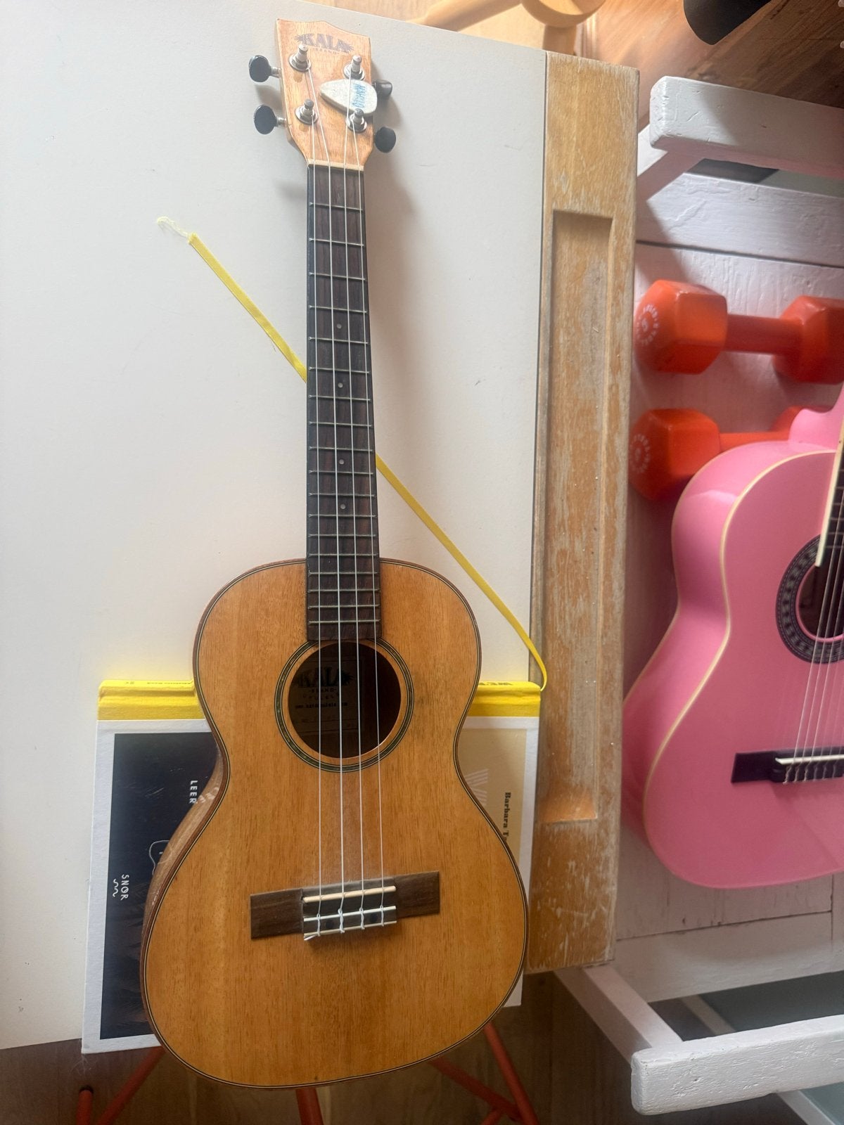 Kala Ukelele met element, oplader en koffer, Verzenden, Zo goed als nieuw, Ukelele