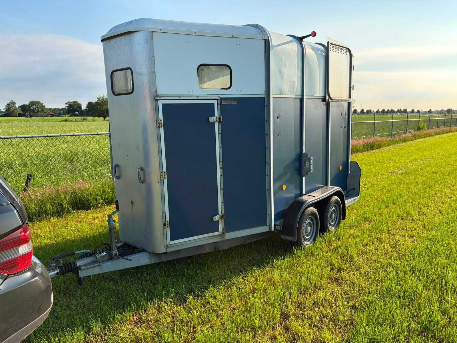 ifor williams trailers HB510R Paarden trailer Paardentrailer, Gebruikt, Overige typen