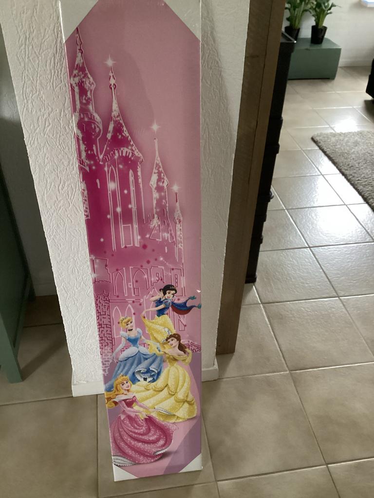 Disney Princess Canvas Schilderij - Nieuw, Ophalen of Verzenden, Nieuw