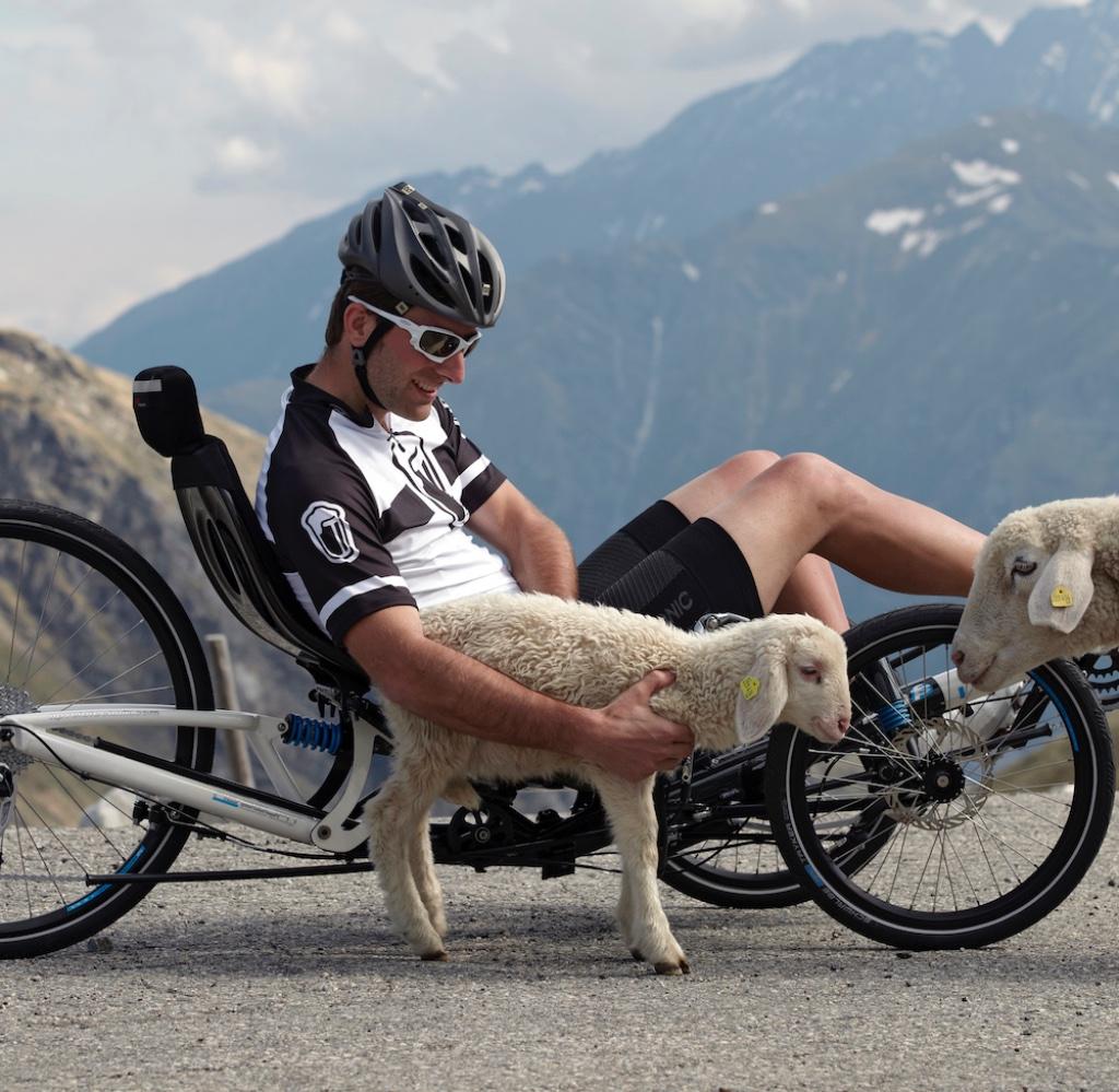 HP Velotechnik Scorpion, Gekko en Delta tx trikes, Ophalen, Nieuw, Overige merken