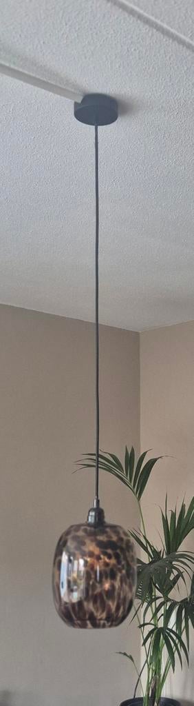 Hanglamp luipaard, Luipaard, Ophalen of Verzenden, 75 cm of meer, Glas