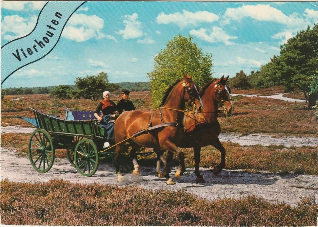 VIERHOUTEN Klederdracht Paard en Wagen, Verzenden, 1980 tot heden, Gelopen, Gelderland